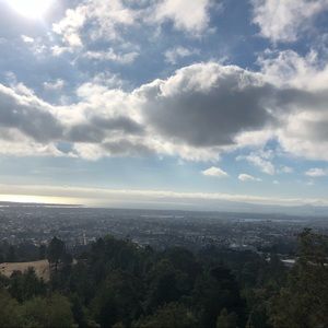 Meet your Posher, Rafael